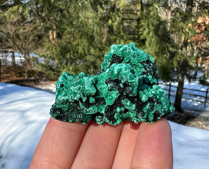Silk Malachite Specimen #9 - Gem Realm 