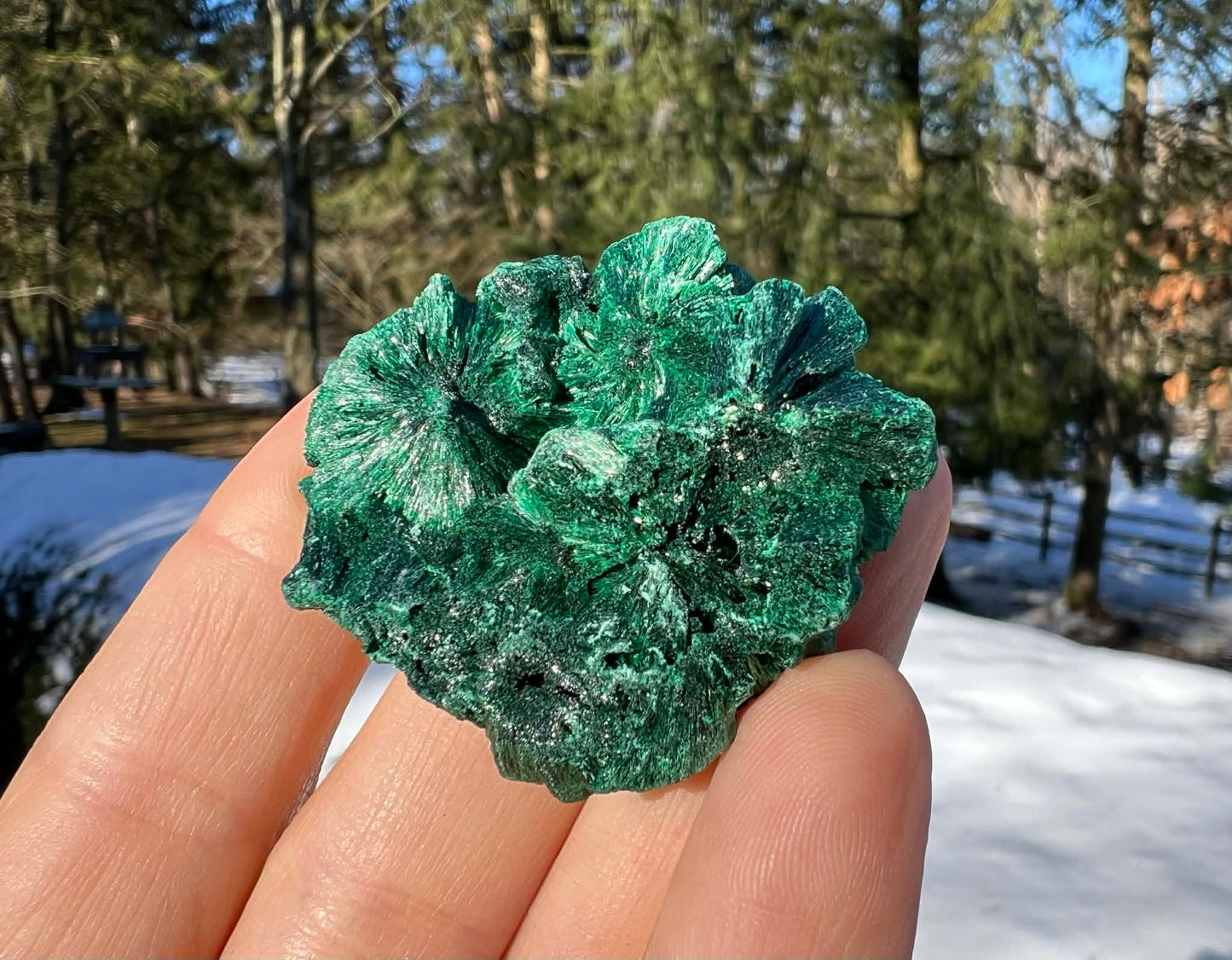 Silk Malachite Specimen #4