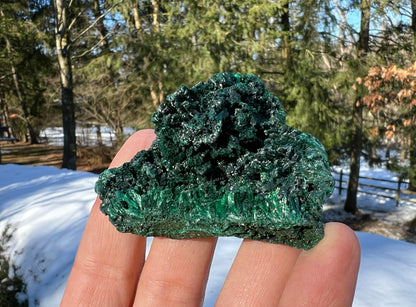 Silk Malachite Specimen #8 - Gem Realm 