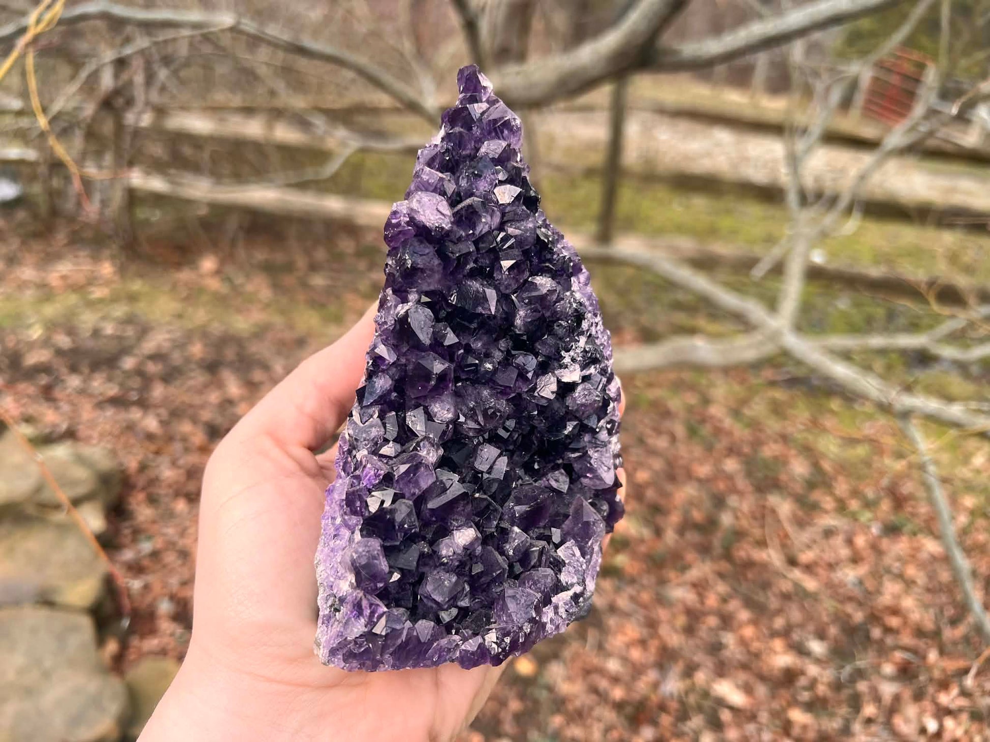Amethyst Geode - Gem Realm 