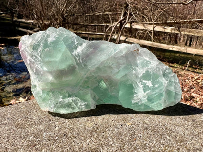 Green Fluorite Specimen - Gem Realm 