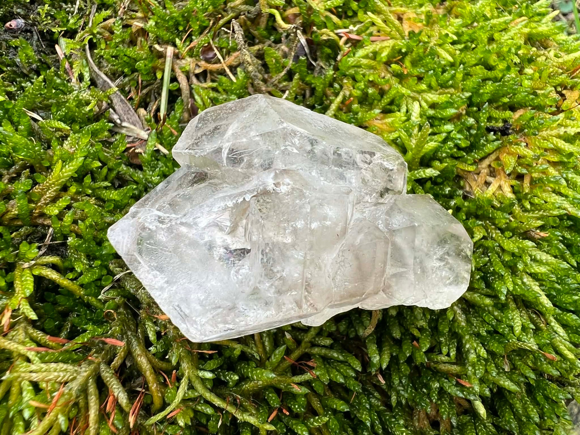 Smoky Elestial Quartz Specimen #11 - Gem Realm 