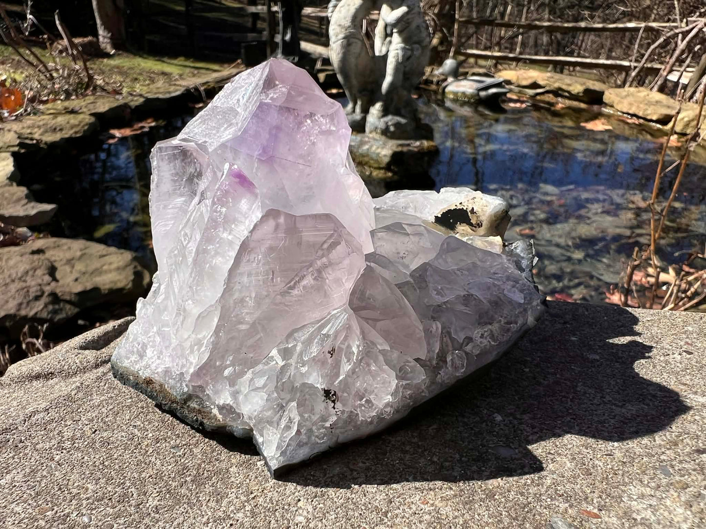 Amethyst Cluster Specimen ~ Brazil