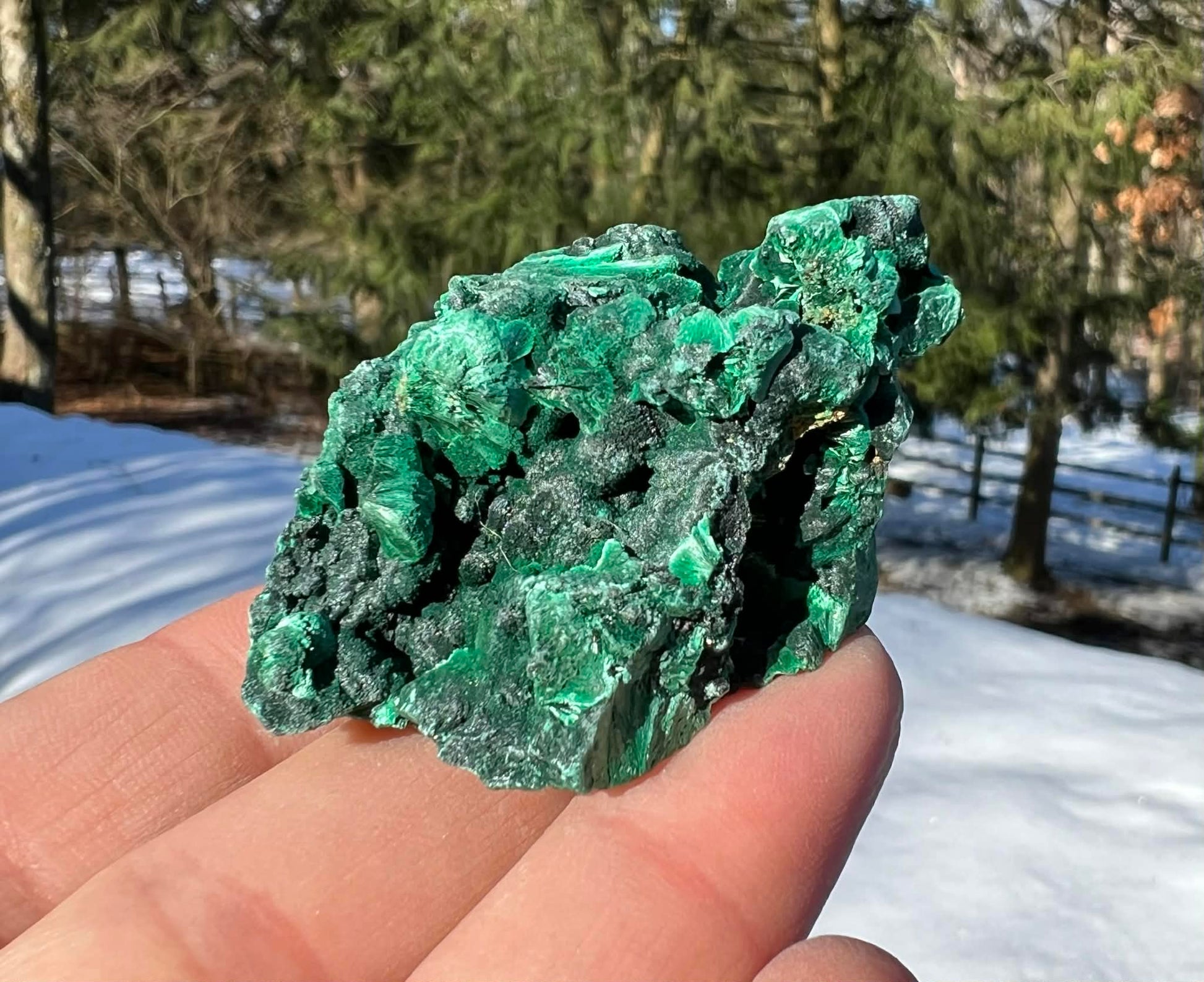 Silk Malachite Specimen #14 - Gem Realm 
