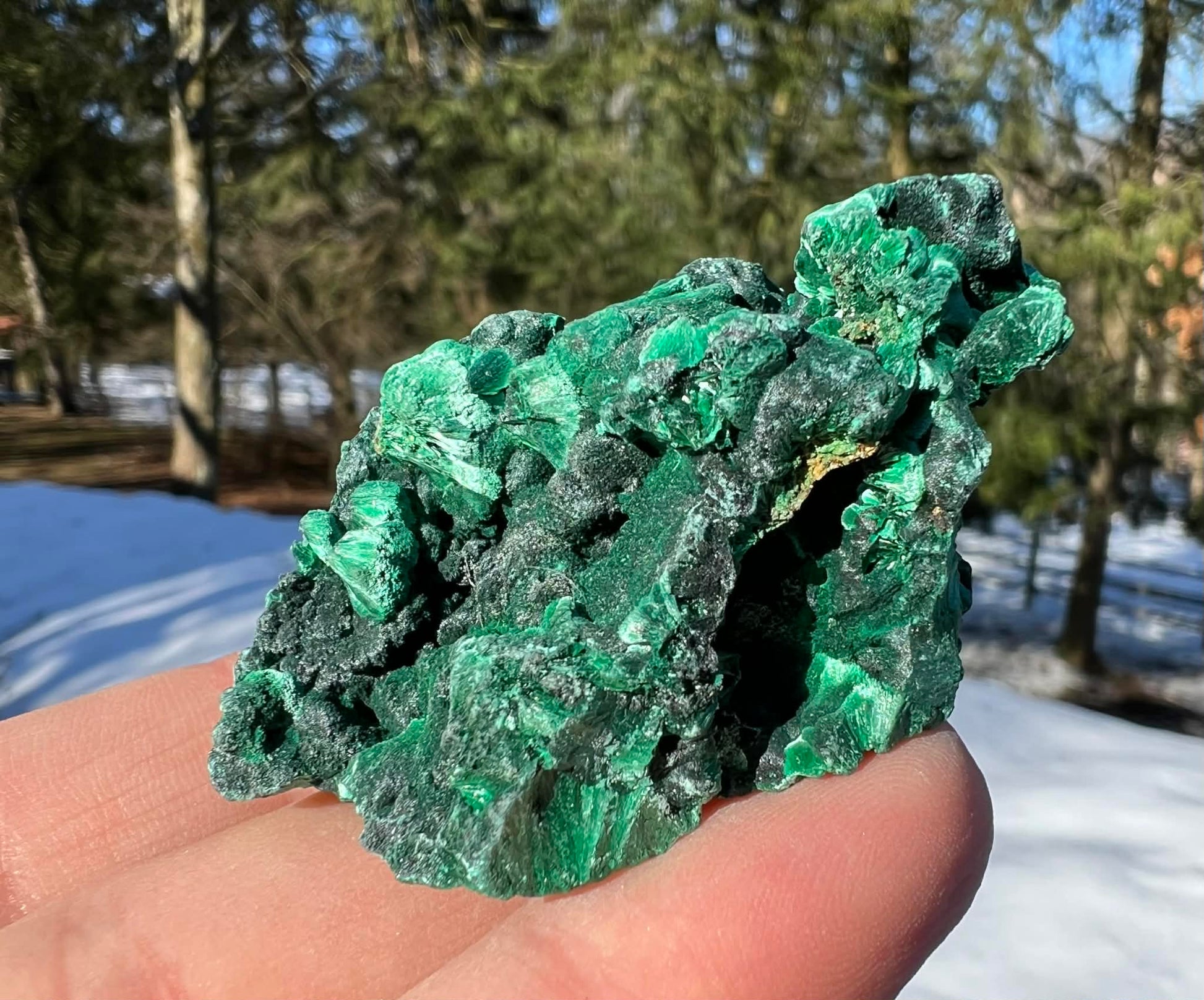 Silk Malachite Specimen #14 - Gem Realm 