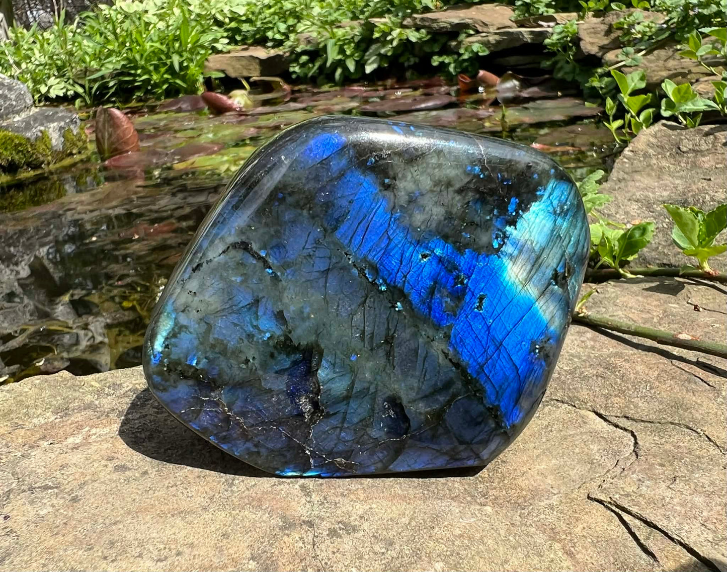Labradorite Freeform - Gem Realm 