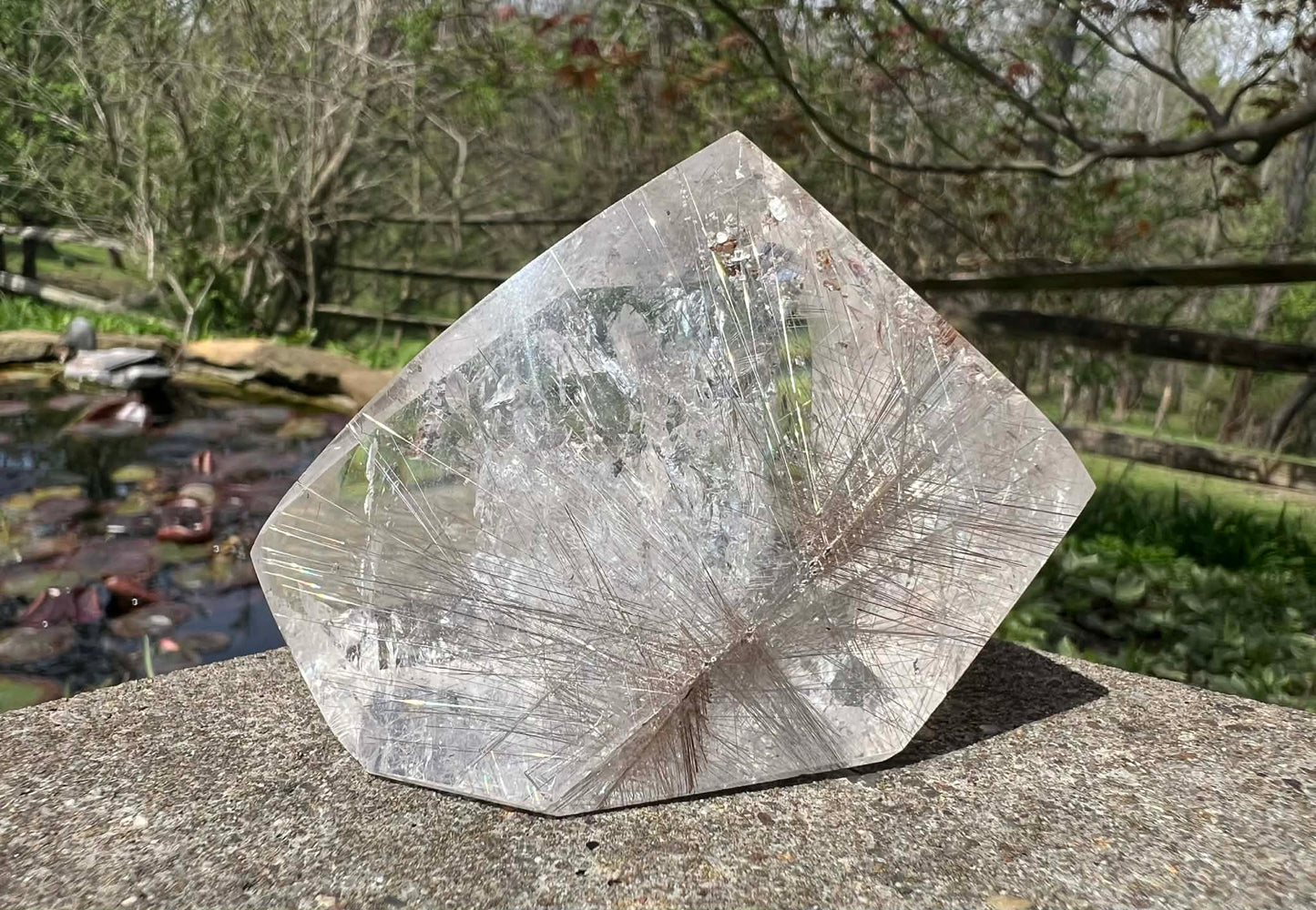 Rutilated Quartz Freeform - Gem Realm 