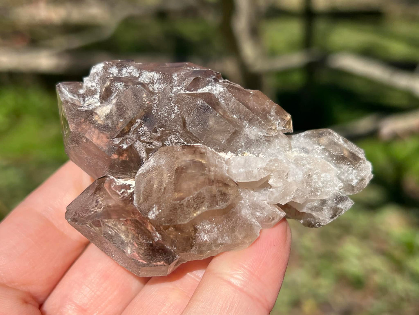 Smoky Elestial Quartz Specimen #9 - Gem Realm 