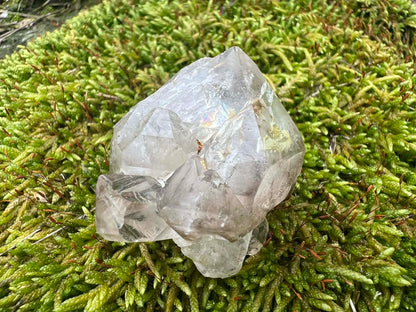 Smoky Elestial Quartz Specimen #12 - Gem Realm 