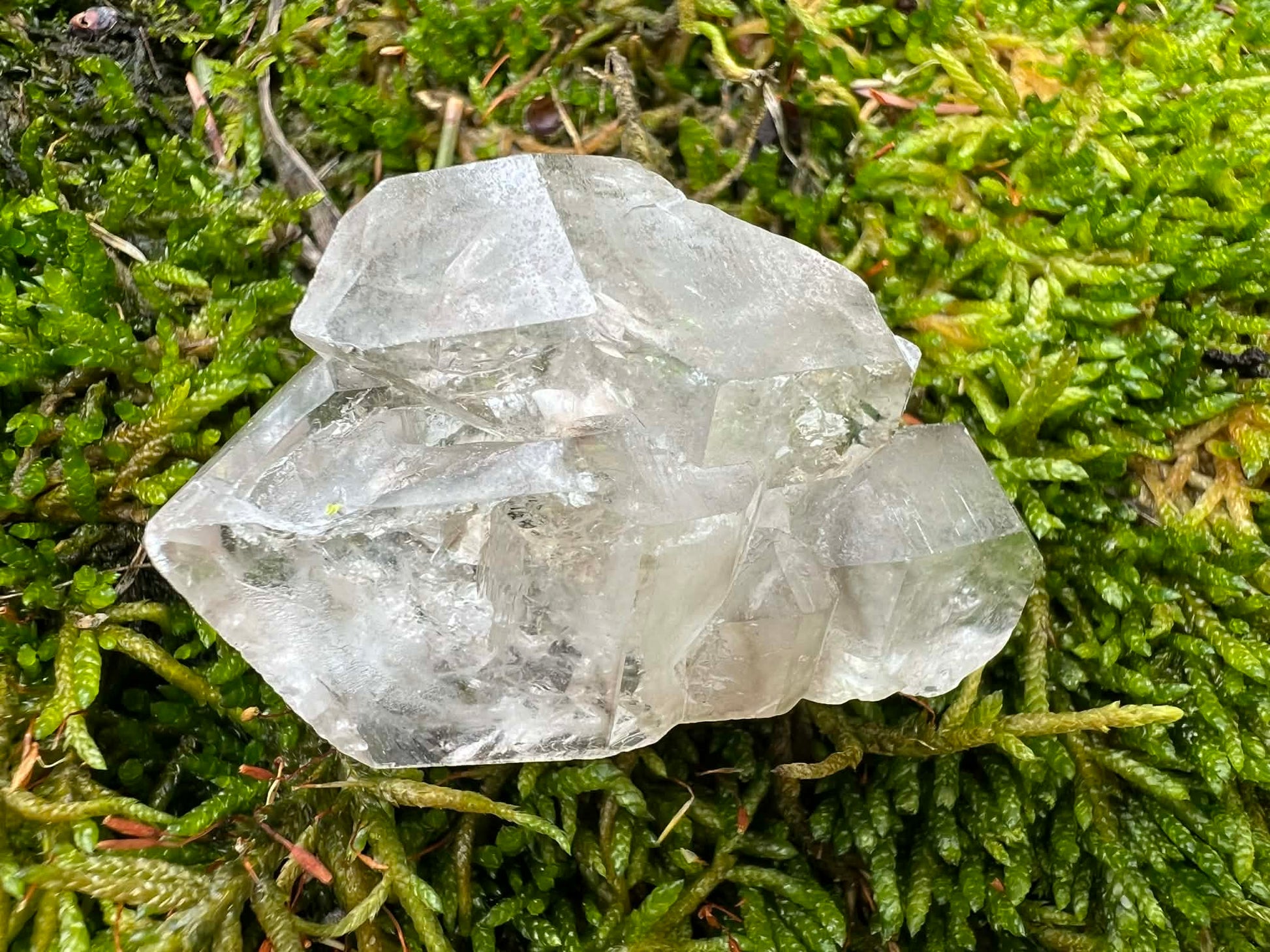 Smoky Elestial Quartz Specimen #11 - Gem Realm 