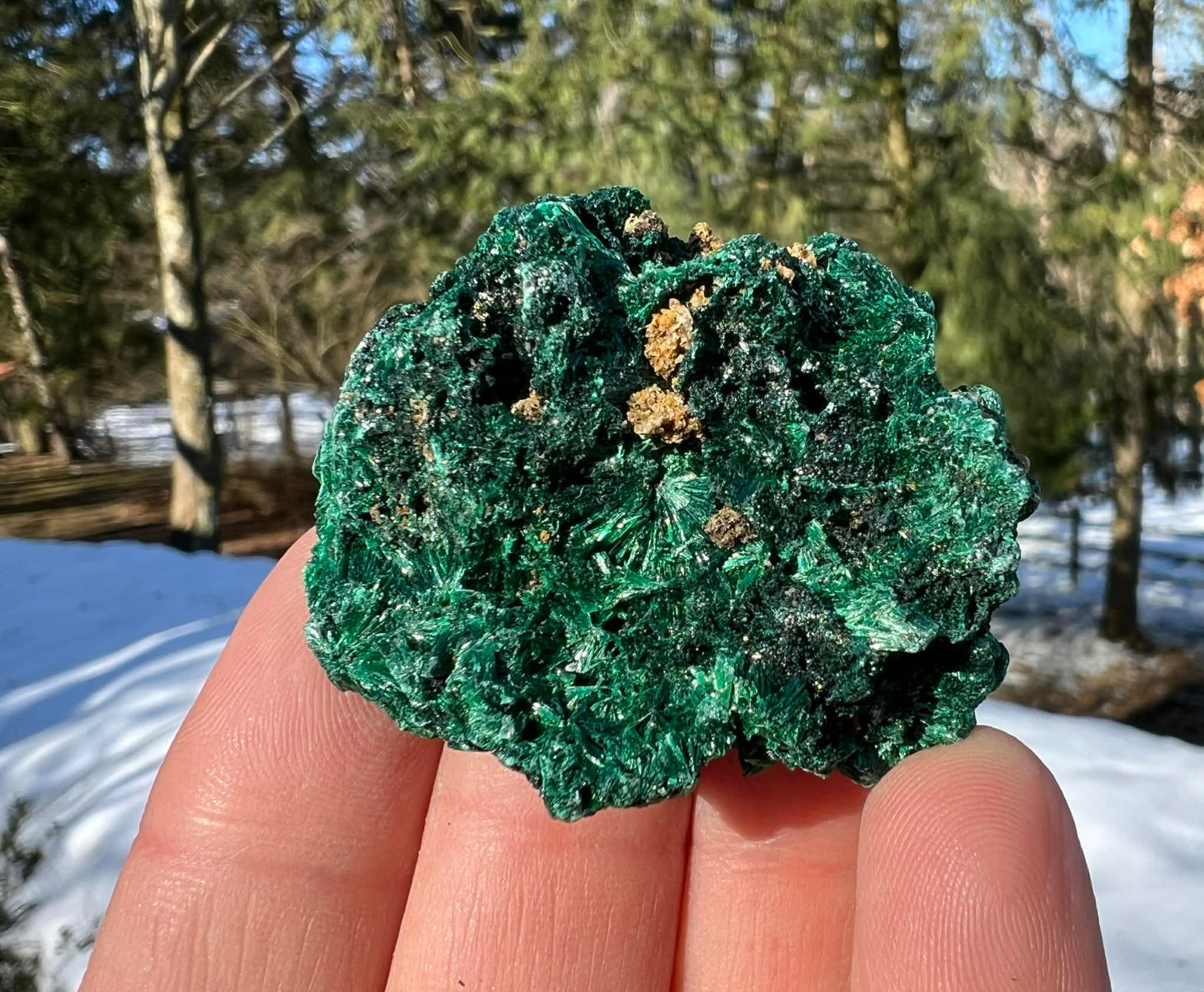 Silk Malachite Specimen #16 - Gem Realm 