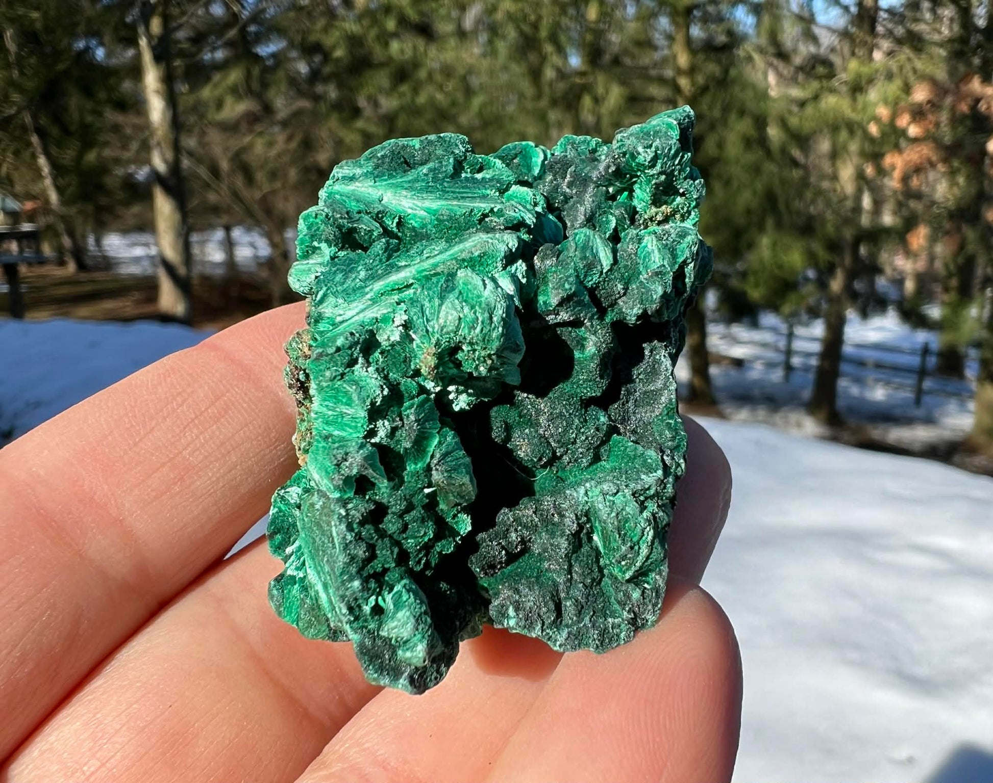 Silk Malachite Specimen #14 - Gem Realm 