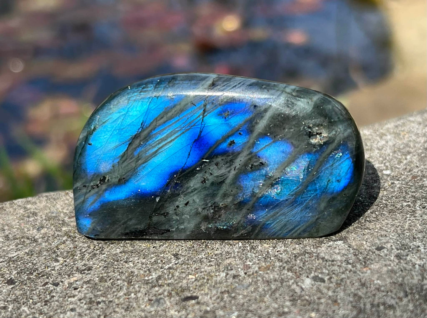 Labradorite Freeform - Mini - Gem Realm 