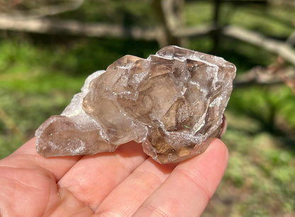 Smoky Elestial Quartz Specimen #9 - Gem Realm 