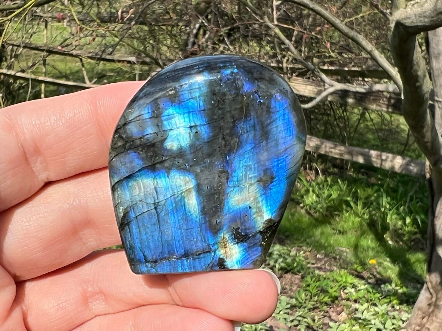 Labradorite Freeform - Mini - Gem Realm 