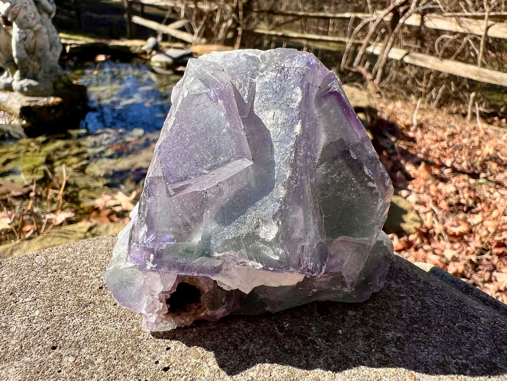 Rainbow Fluorite Specimen - Gem Realm 