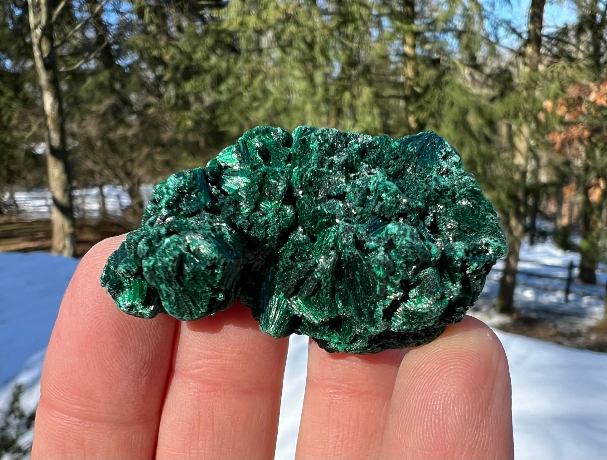 Silk Malachite Specimen #18 - Gem Realm 