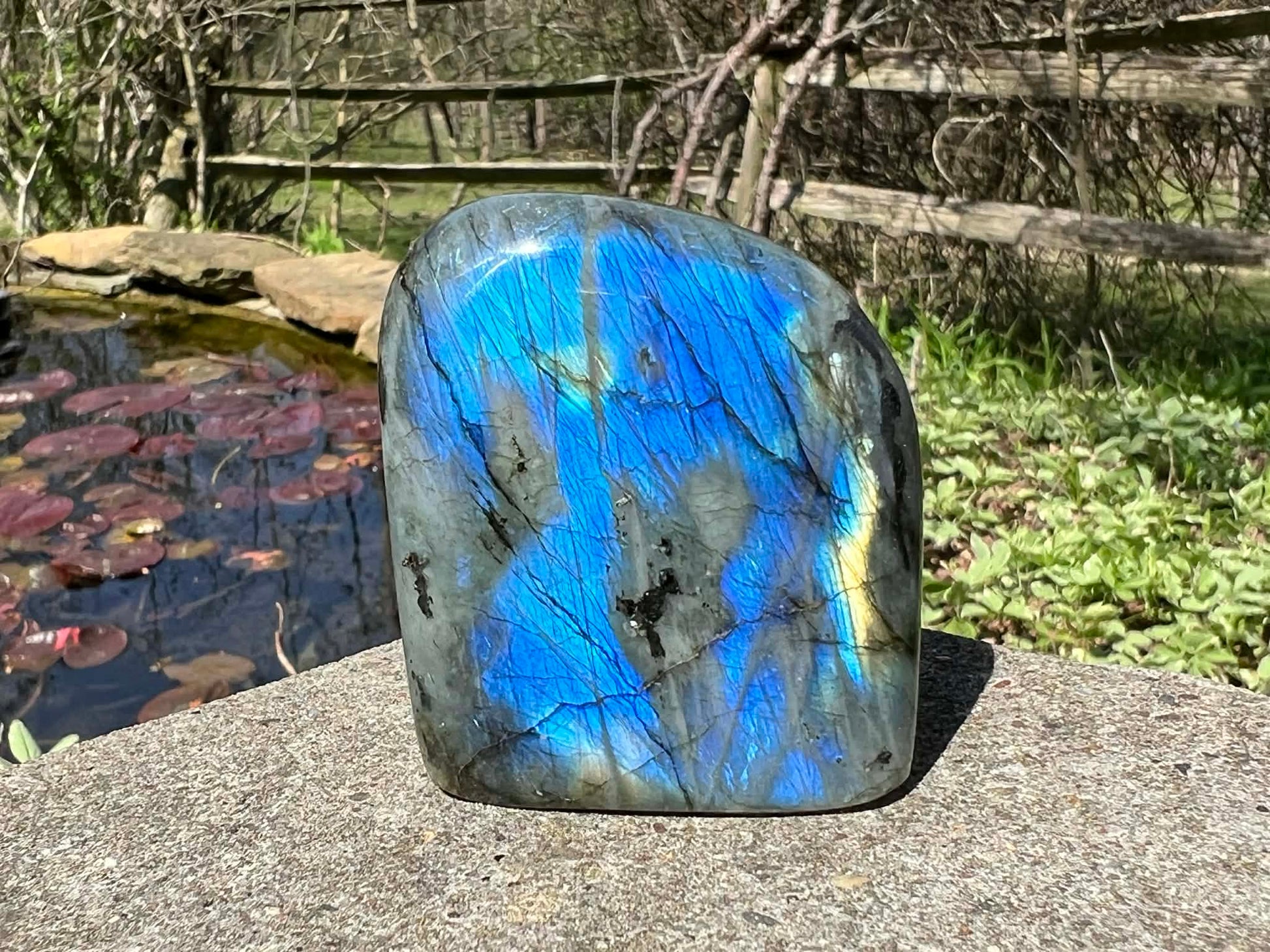 Labradorite Freeform - Gem Realm 
