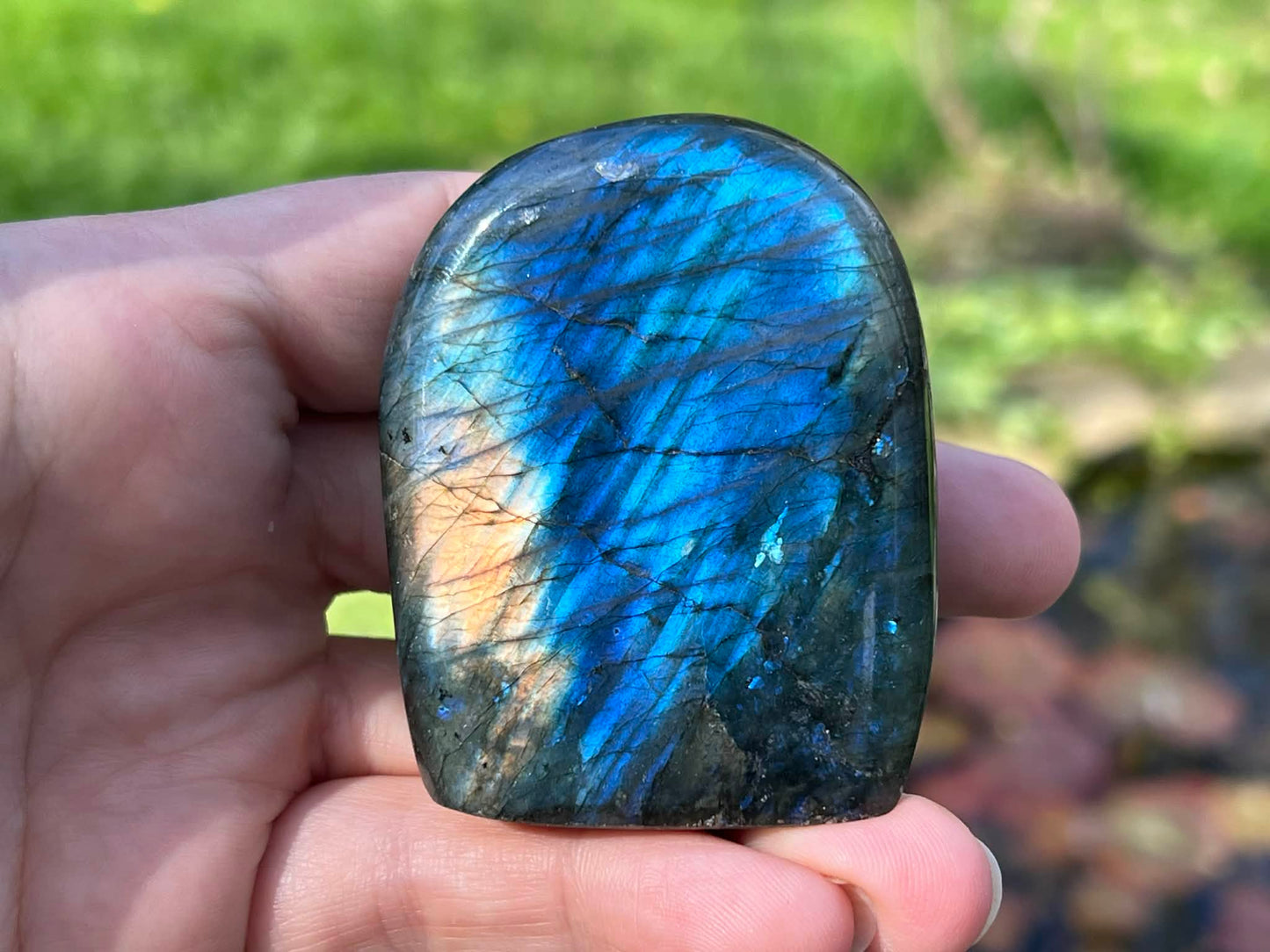 Labradorite Freeform - Gem Realm 
