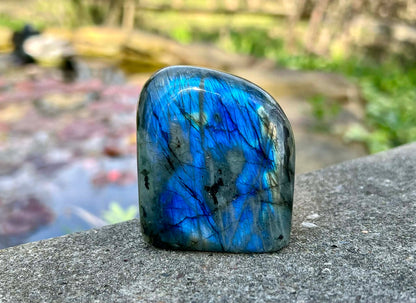 Labradorite Freeform - Gem Realm 