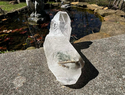 Quartz Crystal Specimen ~ with Chlorite - Gem Realm 