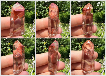 Amphibole Quartz Points