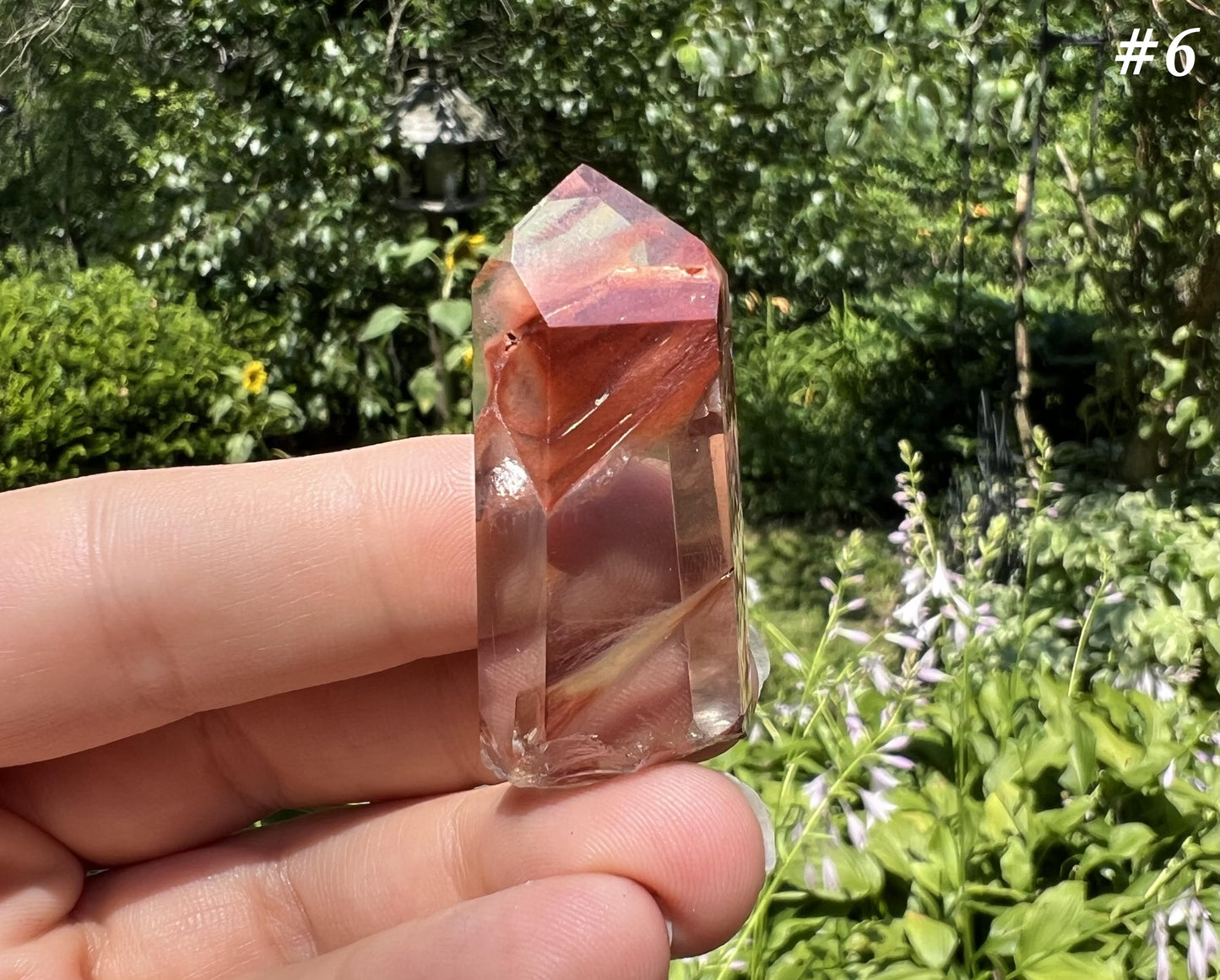 Amphibole Quartz Points