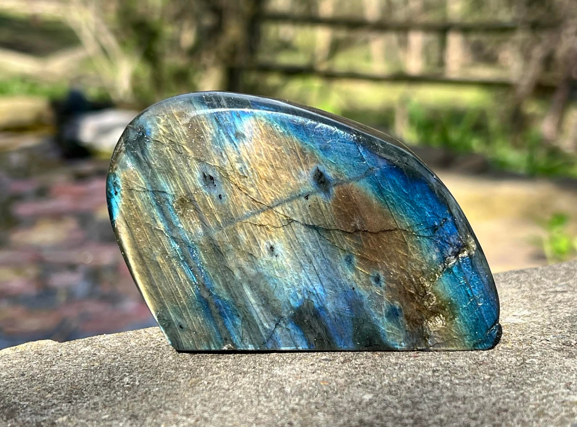 Labradorite Freeform - Gem Realm 