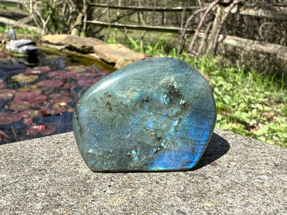 Labradorite Freeform - Mini - Gem Realm 