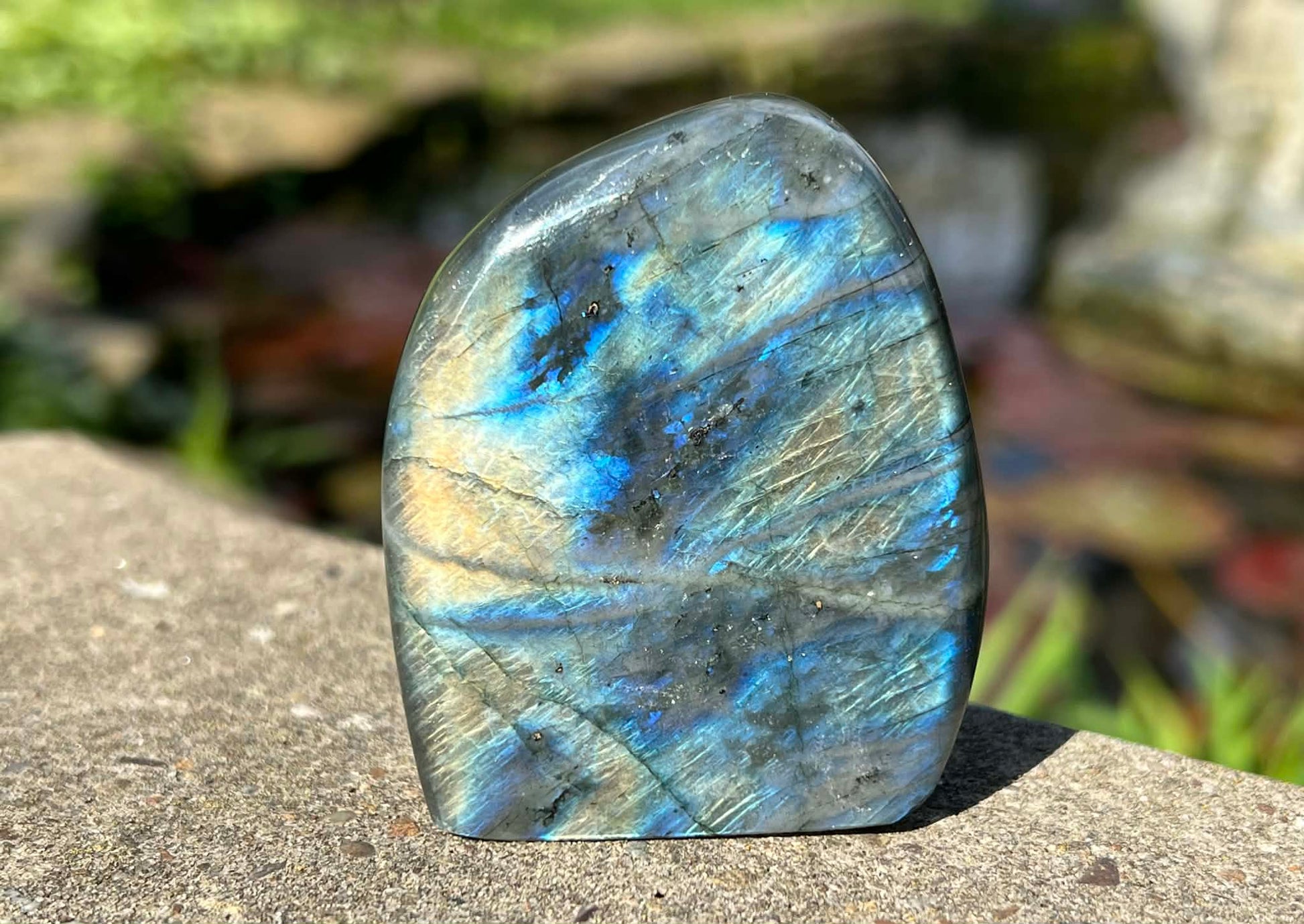 Labradorite Freeform - Gem Realm 