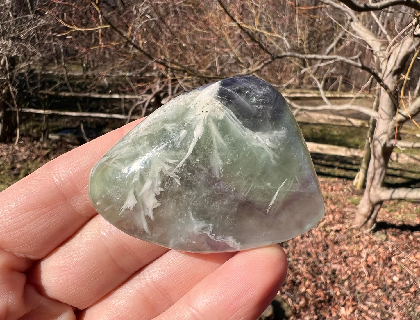 Rainbow Fluorite Palm Stone