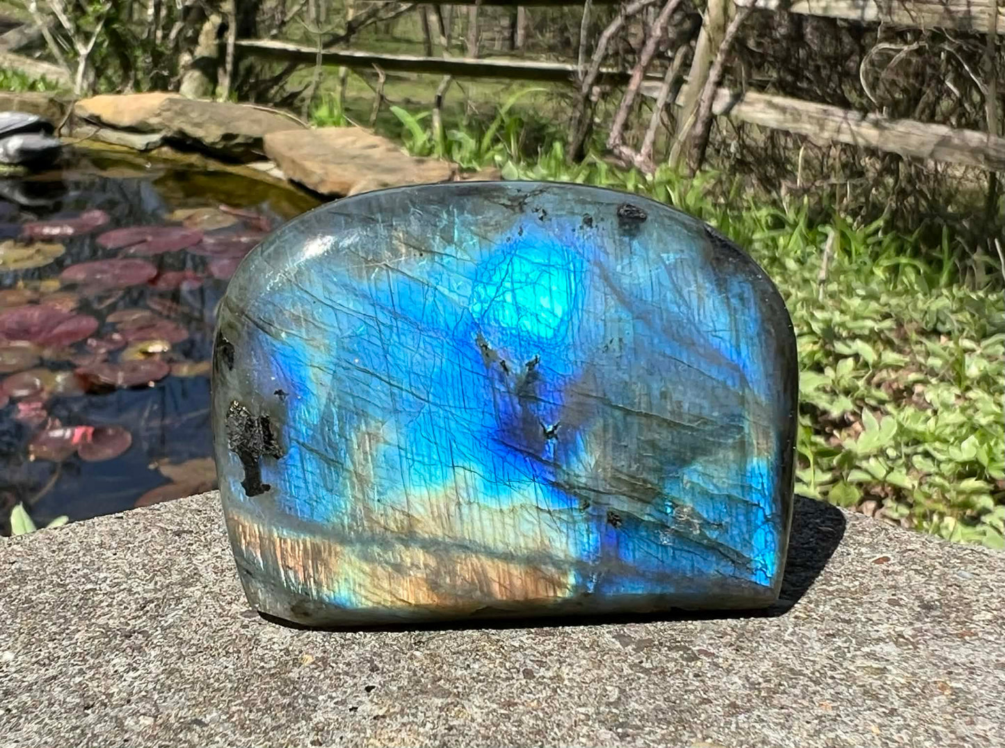 Labradorite Freeform - Gem Realm 
