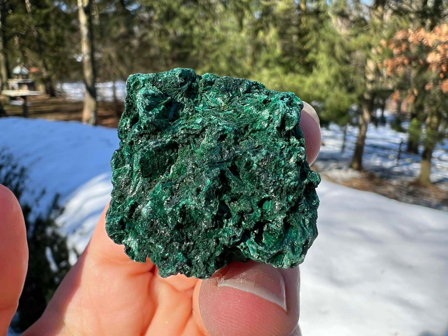 Silk Malachite Specimen #21 - Gem Realm 