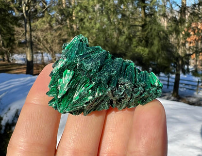 Silk Malachite Specimen #3