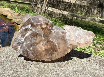 Smoky Elestial Quartz Specimen #9 - Gem Realm 