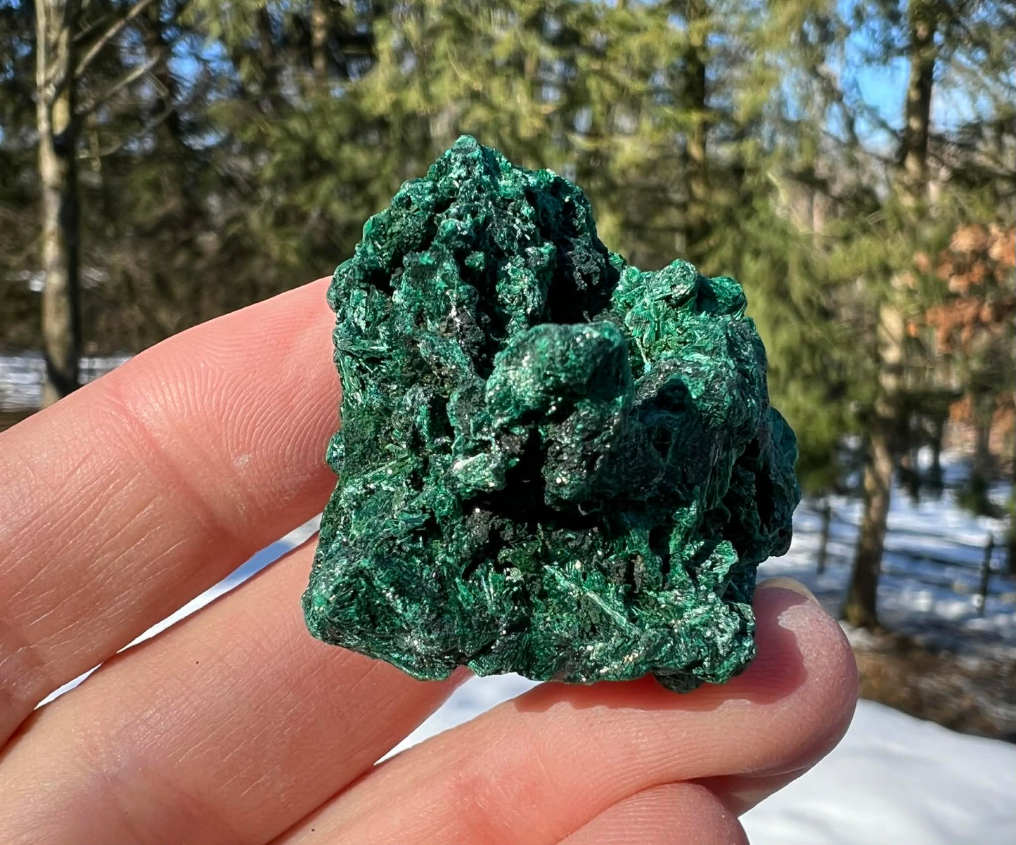 Silk Malachite Specimen #21 - Gem Realm 