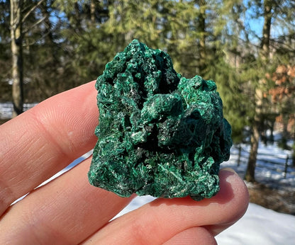 Silk Malachite Specimen #21 - Gem Realm 
