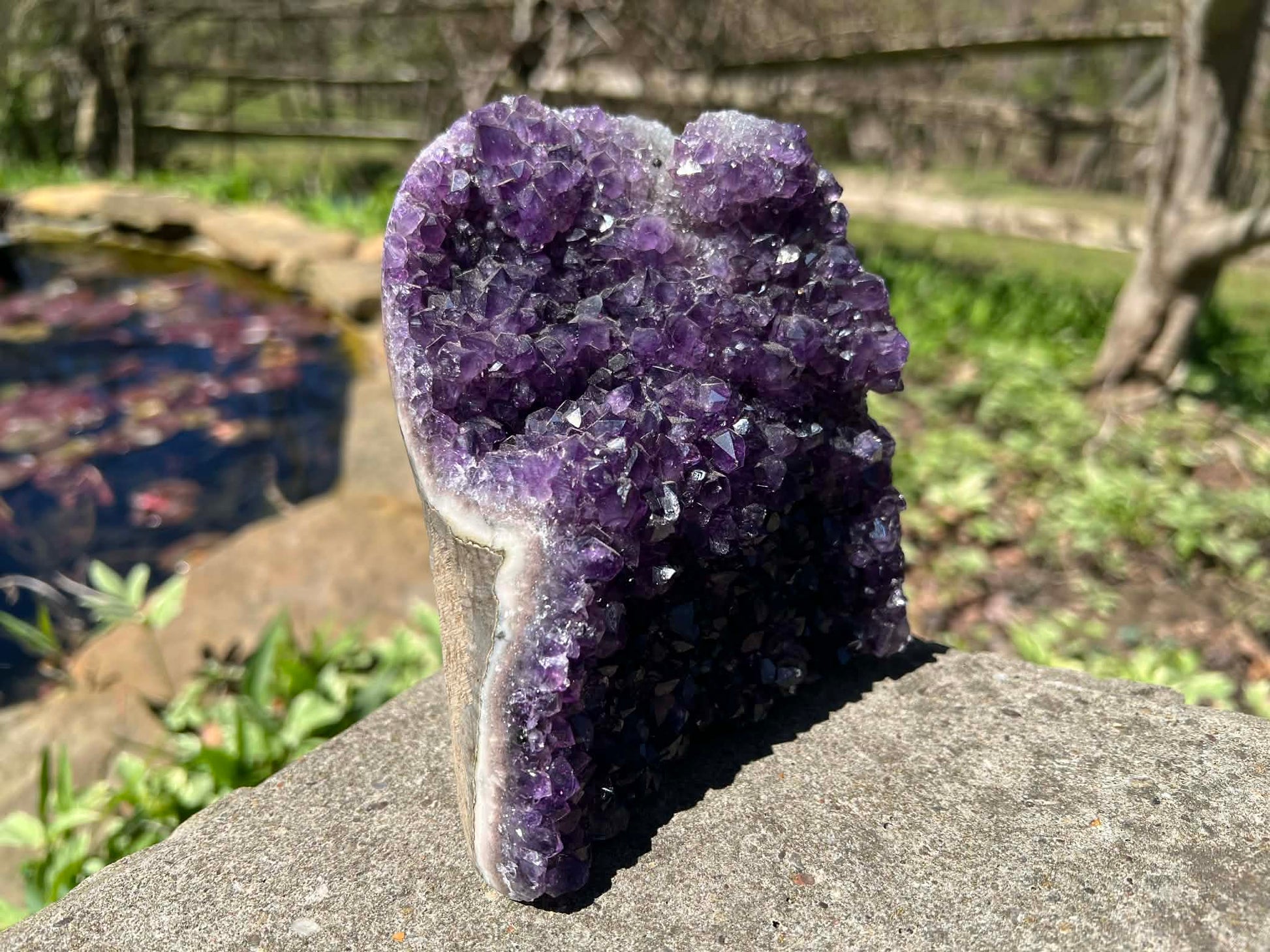 Amethyst Geode - Gem Realm 