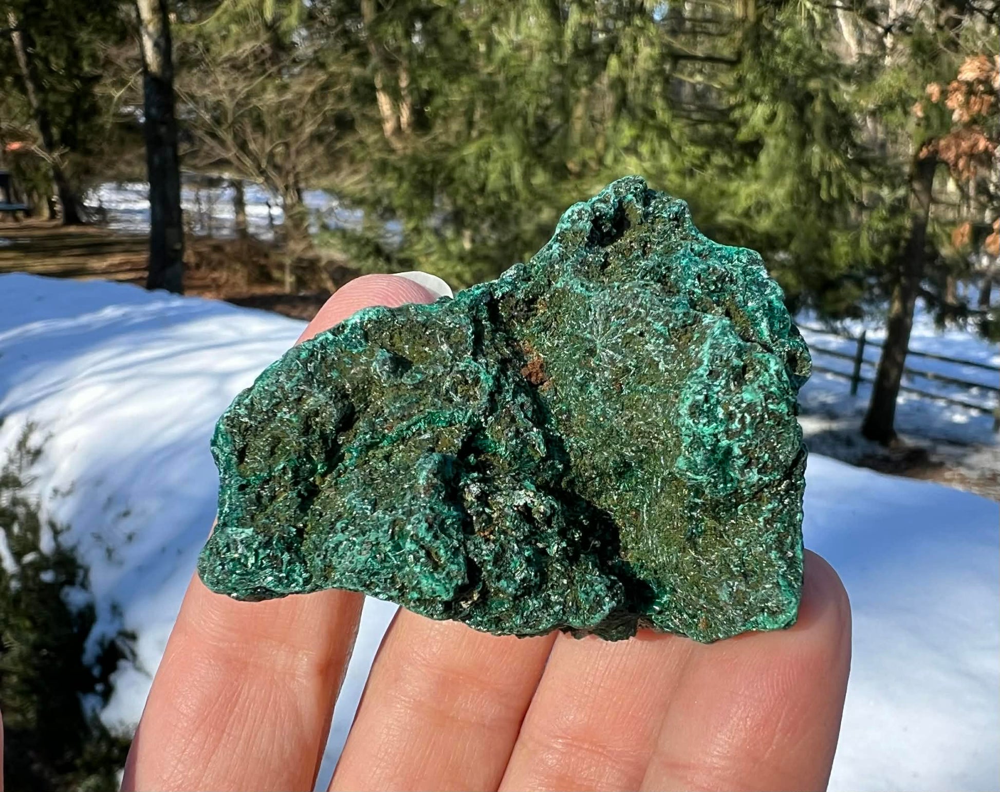 Silk Malachite Specimen #9 - Gem Realm 