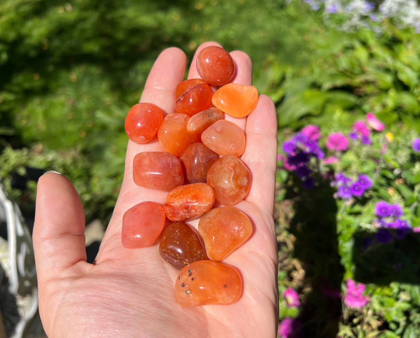 Carnelian Tumbled Stones ~ Small