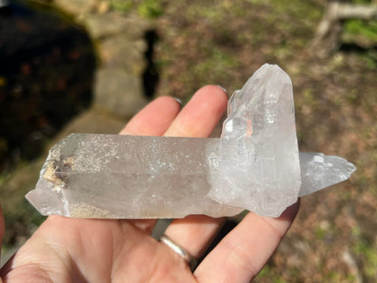 Quartz Crystal Specimen ~ with Chlorite - Gem Realm 