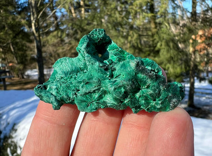 Silk Malachite Specimen #11 - Gem Realm 