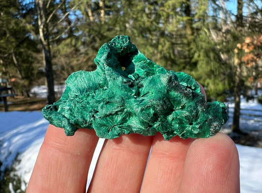 Silk Malachite Specimen #11 - Gem Realm 