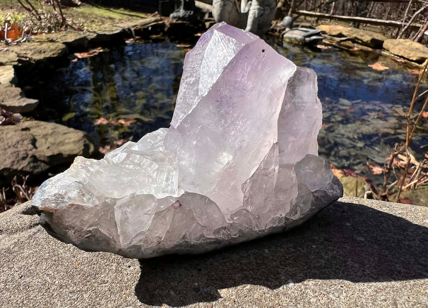 Amethyst Cluster Specimen ~ Brazil