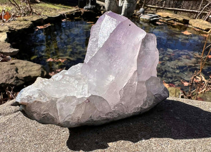 Amethyst Cluster Specimen ~ Brazil