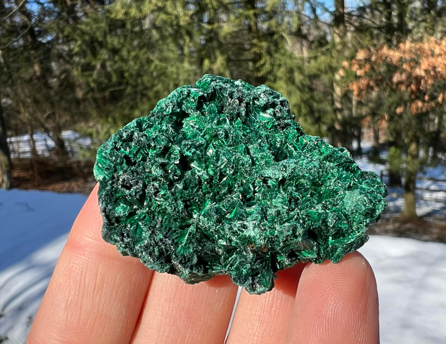 Silk Malachite Specimen #23 - Gem Realm 