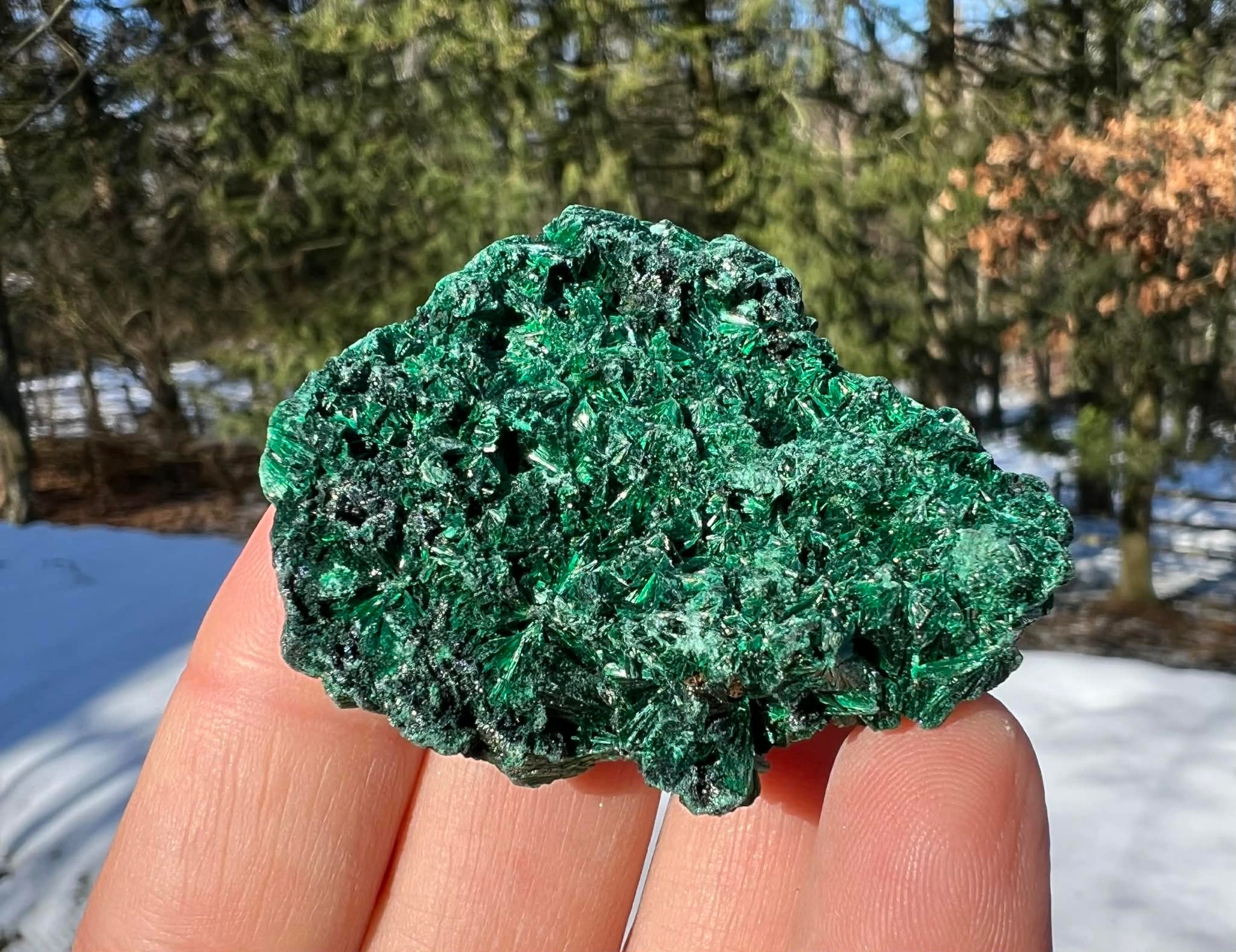 Silk Malachite Specimen #23 - Gem Realm 