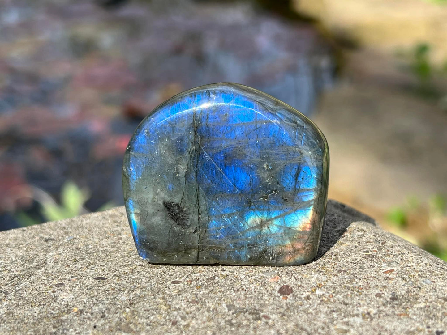 Labradorite Freeform - Mini - Gem Realm 
