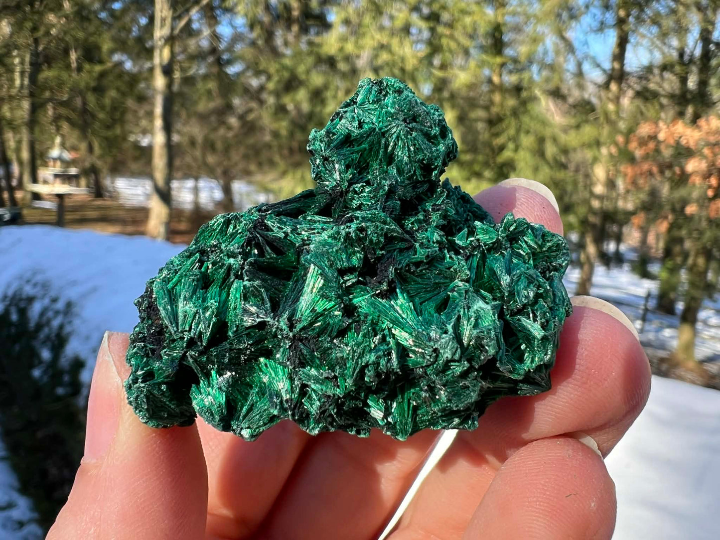 Silk Malachite Specimen #20 - Gem Realm 