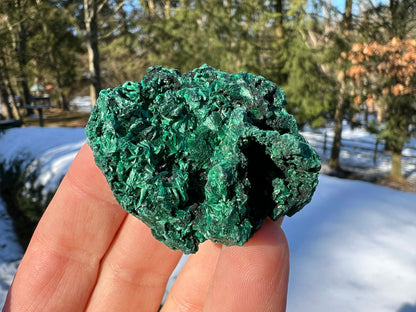 Silk Malachite Specimen #12 - Gem Realm 
